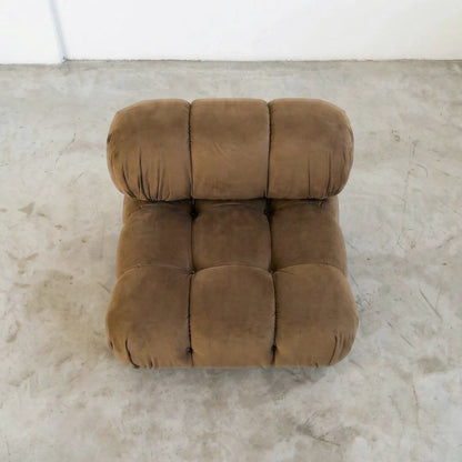 Brown camaleonda dupe on a concrete floor with a white wall background