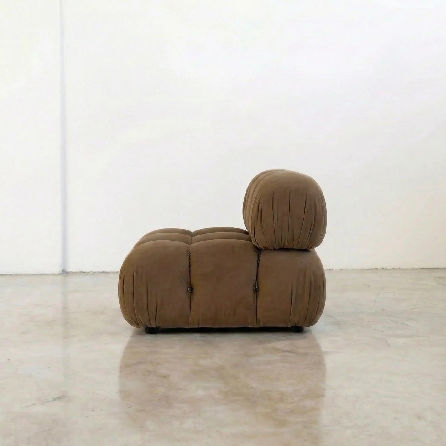 Brown camaleonda dupe on a concrete floor with a white wall background