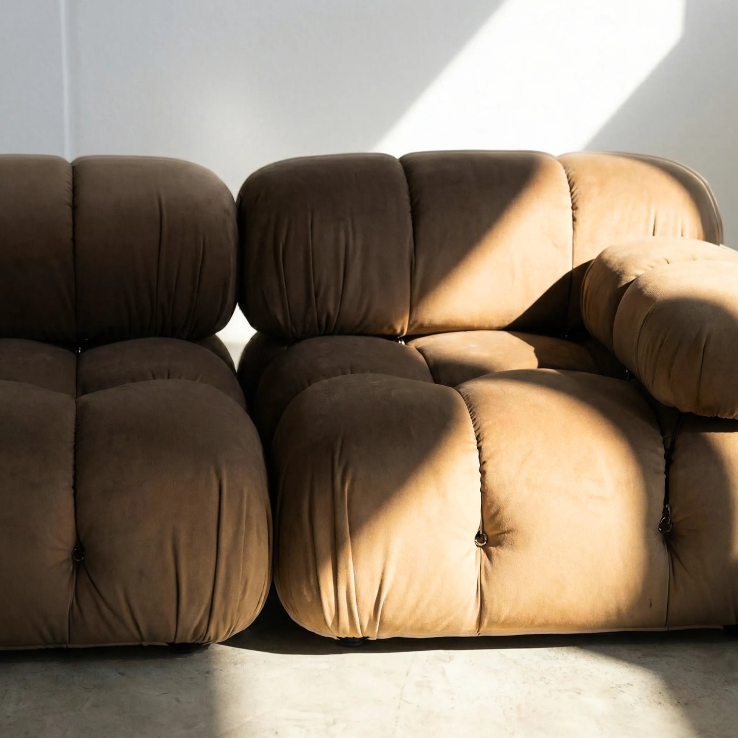 Camaleonda dupe sofa in brown velvet on a beige background with sunlight casting shadows on a white wall