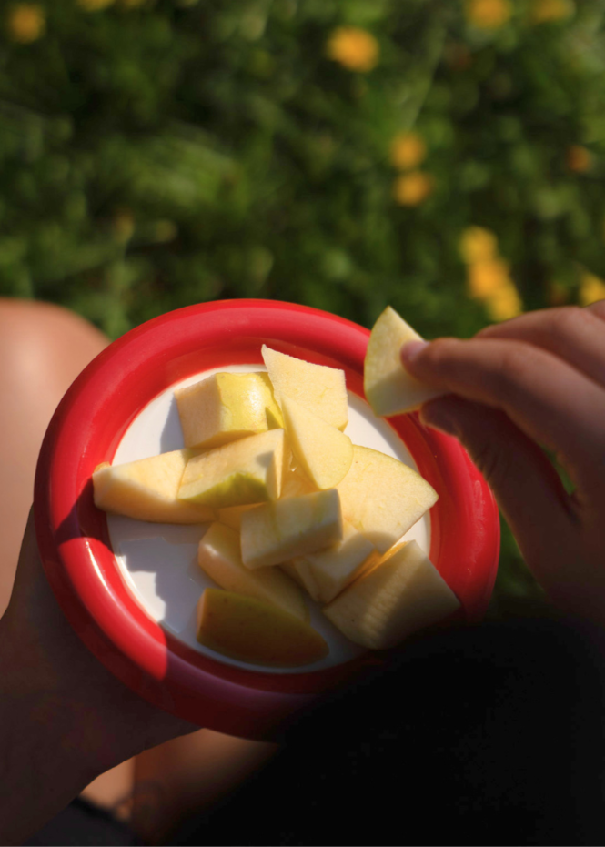Person holding a red and white chunky plate with apple slices on a blurred green background
